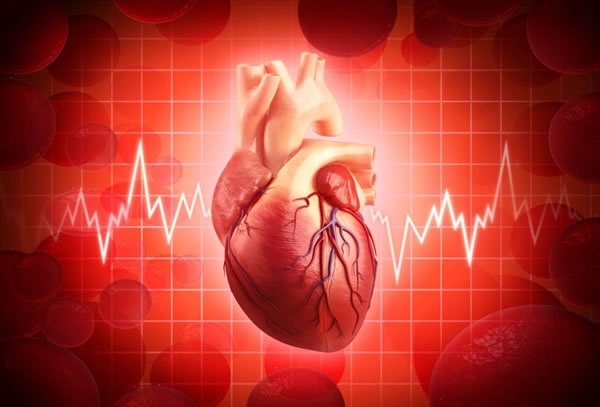 Arritmias Cardíacas